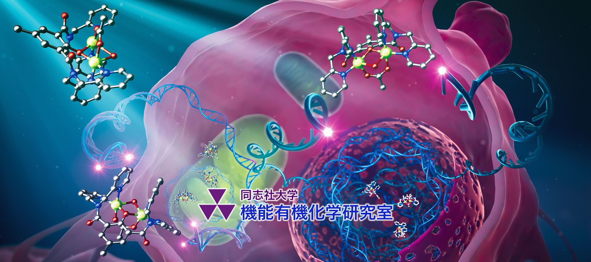 同志社大学 機能有機化学研究室